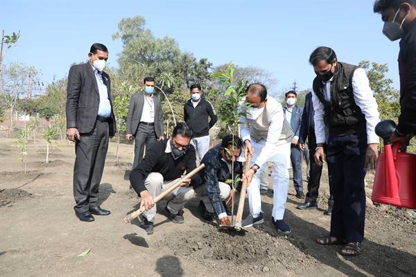 मुख्यमंत्री श्री चौहान ने लगाए सप्तपर्णी और मौलश्री के पौधे