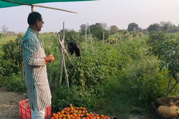 मानव के लिए जैविक खेती उत्तम – मुख्यमंत्री श्री चौहान